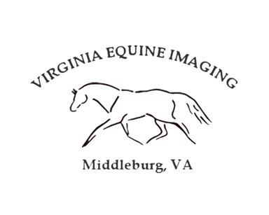 Virginia Equine Imaging