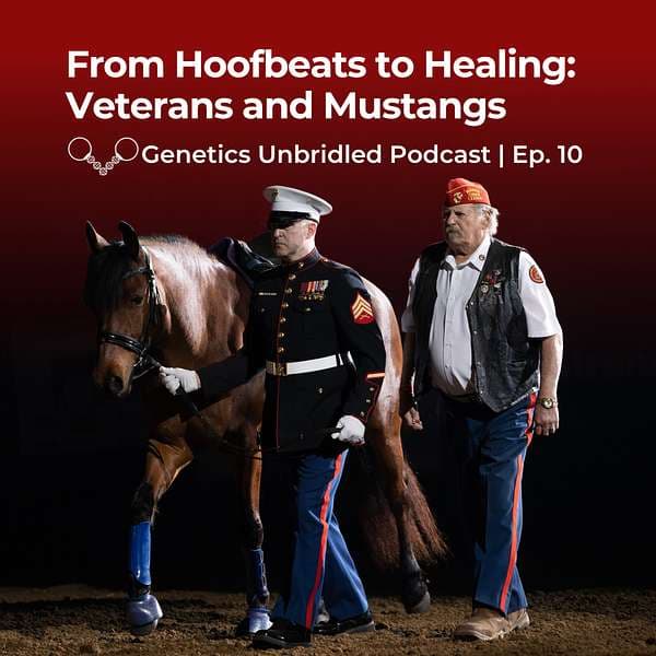 Podcast Cover Image